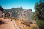 Roque Nublo (1803 m.o.h.)