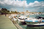 From the harbour of Palma